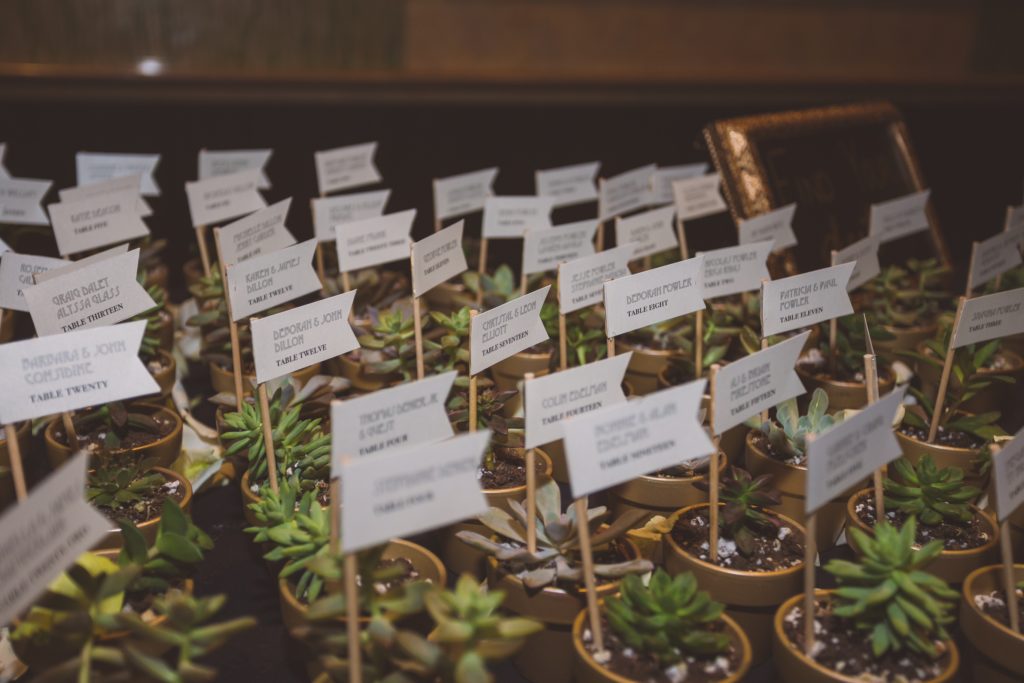 succulent escort cards with name flags, photo by Jaylim Photography