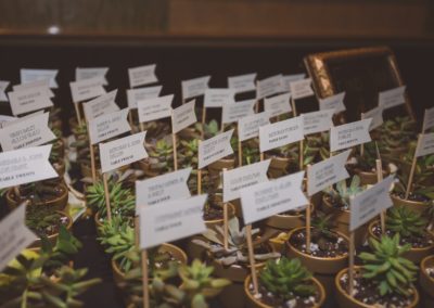 succulent escort cards with name flags