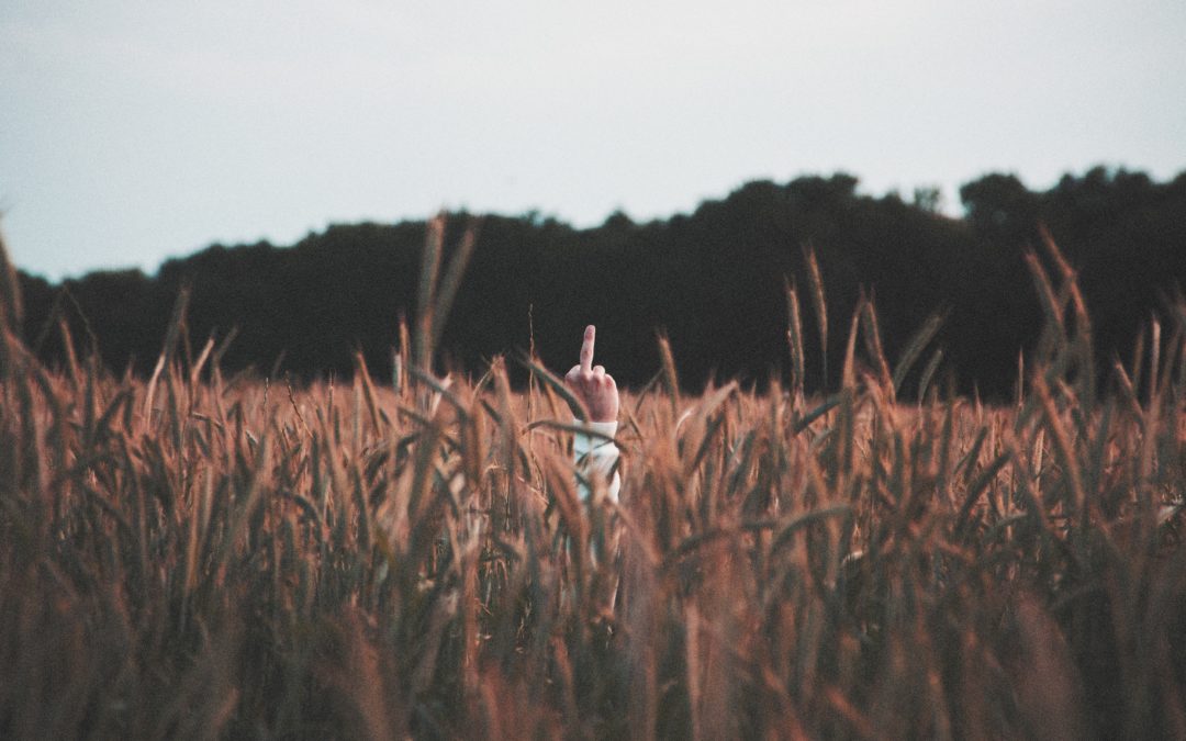 Middle finger | wedding day regrets wrong person | divorce