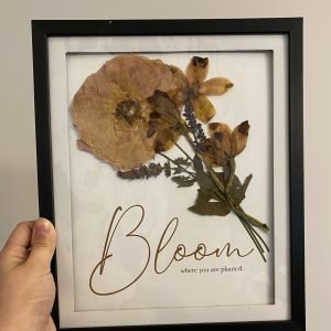 bloom where you are planted flower art / pressed flower wall art / preserved floral artwork / boho wall art / orchid wall art /